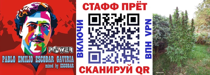 Виды наркотиков купить Северо-Курильск Метамфетамин  Cocaine  A PVP  Бошки Шишки  МЕФ  ГАШИШ 