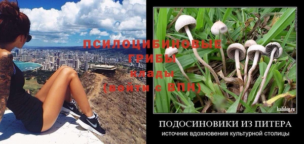 mdpv Баксан