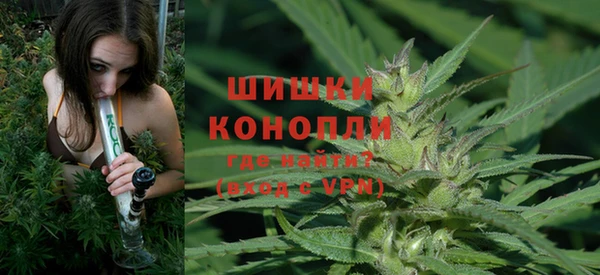 шишки Балабаново