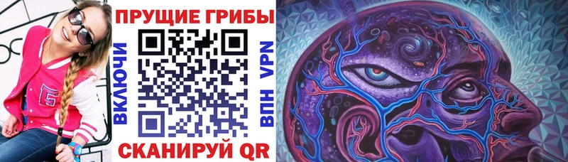 Галлюциногенные грибы мухоморы  даркнет сайт  мега как войти  Северо-Курильск 
